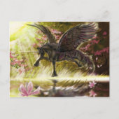 Carte postale touche douce (Devant)