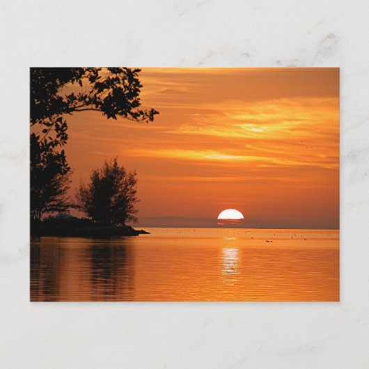Carte Postale Touche West Florida Sunset (Devant)