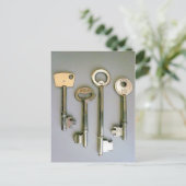 Carte Postale Touches (Debout devant)