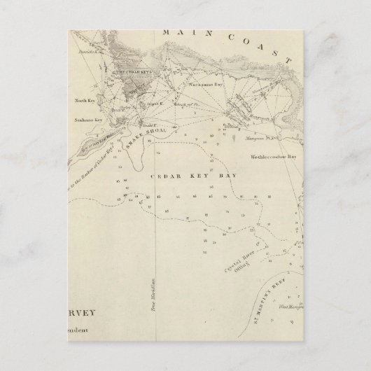 Carte Postale Touches de cèdre, Fla (Devant)