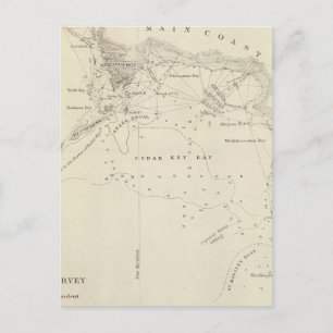 Carte Postale Touches de cèdre, Fla