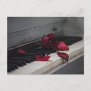 Carte Postale Touches de piano avec une rose rouge