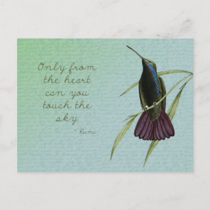 Carte Postale Touchez le colibri du ciel