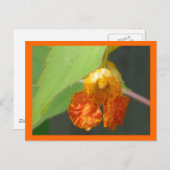 Carte Postale Touchez-moi pas aux bijoux (Devant / Derrière)