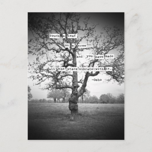 Carte Postale Touchez une feuille... (Devant)