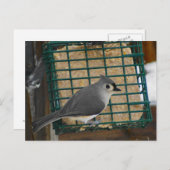 Carte Postale Touffé (Devant / Derrière)