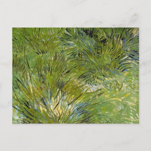Carte Postale Touffes d'Herbe par Vincent van Gogh (Devant)