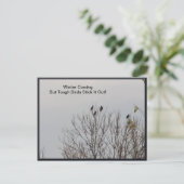 Carte Postale Tough Birds Stick It Out (Debout devant)