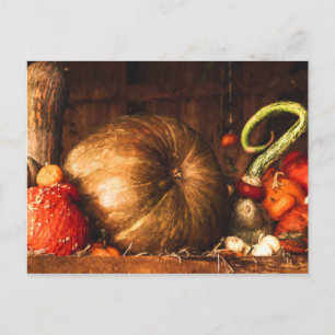 Carte Postale Toujours la vie avec les Citrouilles