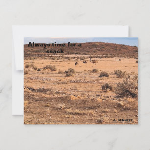 Carte Postale Toujours prendre un en-cas