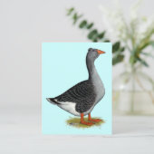 Carte Postale Toulouse Goose Tufted (Debout devant)