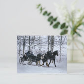 Carte Postale Tour-Carte postale amish de chariot d'hiver de (Debout devant)