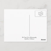 Carte Postale Tour Dallas, TX de la Réunion (Dos)