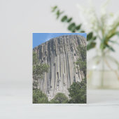 Carte Postale Tour Devils (Debout devant)