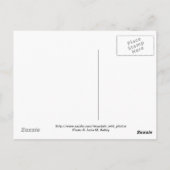 Carte postale Tour Devils (Dos)