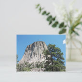 Carte Postale Tour Devils Wyoming (Debout devant)
