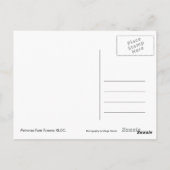 Carte Postale Tour jumelle Petronas, KLCC (Dos)