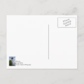 Carte Postale Tour Petosky Du Temps (Dos)