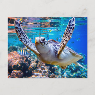 Carte Postale Tourbillon de Green Sea  hawaï