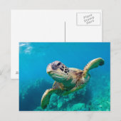 Carte Postale Tourbillon de Green Sea |hawaï (Devant / Derrière)