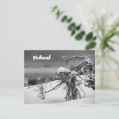 Carte postale tourisme Finlande (Debout devant)