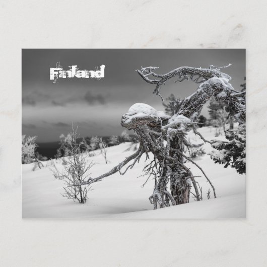 Carte postale tourisme Finlande (Devant)