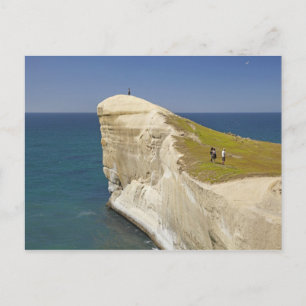 Carte Postale Touristes sur la falaise à Tunnel Beach