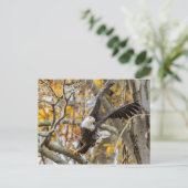 Carte Postale Tourner Et Lancer L'Aigle (Debout devant)