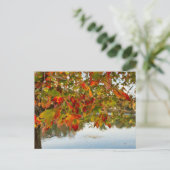 Carte Postale Tourner les Feuilles (Debout devant)