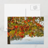 Carte Postale Tourner les Feuilles (Devant / Derrière)