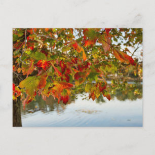 Carte Postale Tourner les Feuilles