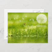 Carte Postale Tourner vers l'aventure (Devant / Derrière)