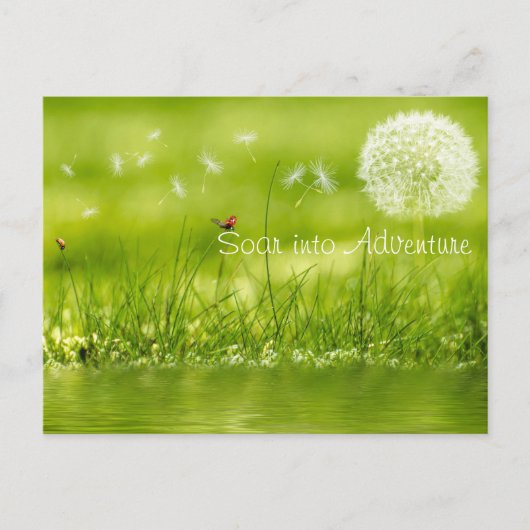 Carte Postale Tourner vers l'aventure (Devant)