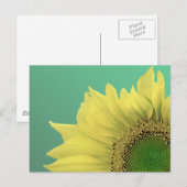 Carte Postale Tournesol (Devant / Derrière)