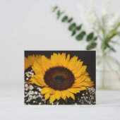 Carte Postale Tournesol (Debout devant)