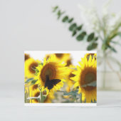 Carte Postale Tournesol (Debout devant)