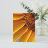 Carte Postale Tournesol (Debout devant)