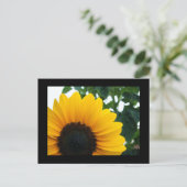 Carte Postale Tournesol (Debout devant)