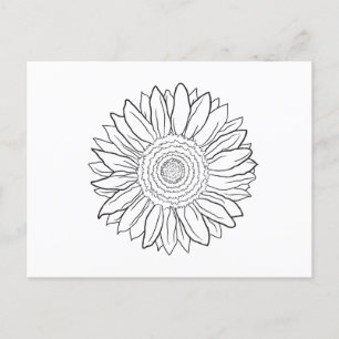 Carte Postale tournesol