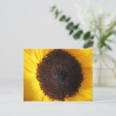 Carte postale Tournesol (Debout devant)