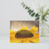 Carte Postale Tournesol (Debout devant)