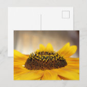 Carte Postale Tournesol (Devant / Derrière)