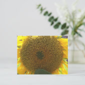 Carte Postale Tournesol (Debout devant)