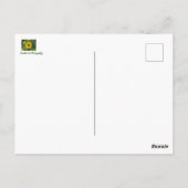 Carte Postale Tournesol (Dos)