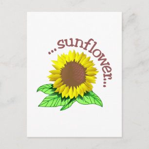 Carte Postale Tournesol