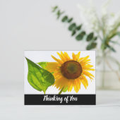 Carte Postale Tournesol (Debout devant)