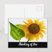 Carte Postale Tournesol (Devant / Derrière)