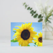 Carte Postale Tournesol (Debout devant)