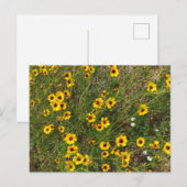 Carte Postale Tournesol (Devant / Derrière)