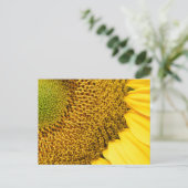 Carte Postale Tournesol (Debout devant)